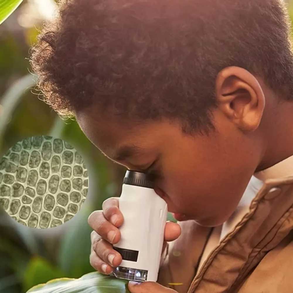Minilabsters Miniscope Minilabsters Portable Pocket Microscope 60-120x Kids gift