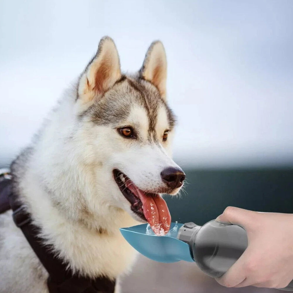 Portable Dog Water Bottle – Pet Outdoor Travel Hiking Walking Drinking Cup, 800ml