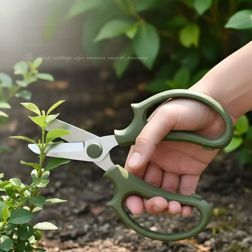 Stainless Steel Pruning Shears – Garden Scissors for Potted Plants & Floral Arrangements