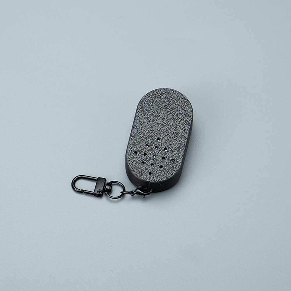 Iconic Accessible Pedestrian Signal (APS) Replicas keychain