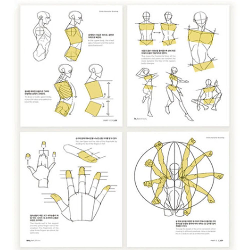 TACO Point Character & Human Body Drawing Guide Book | Lezhin Comics Artist |Ultimate Illustration Guide
