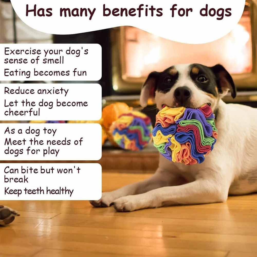 Pet Snuffle Ball Dog Toy Home Foraging Skill IQ Training Enrichment Multicolor