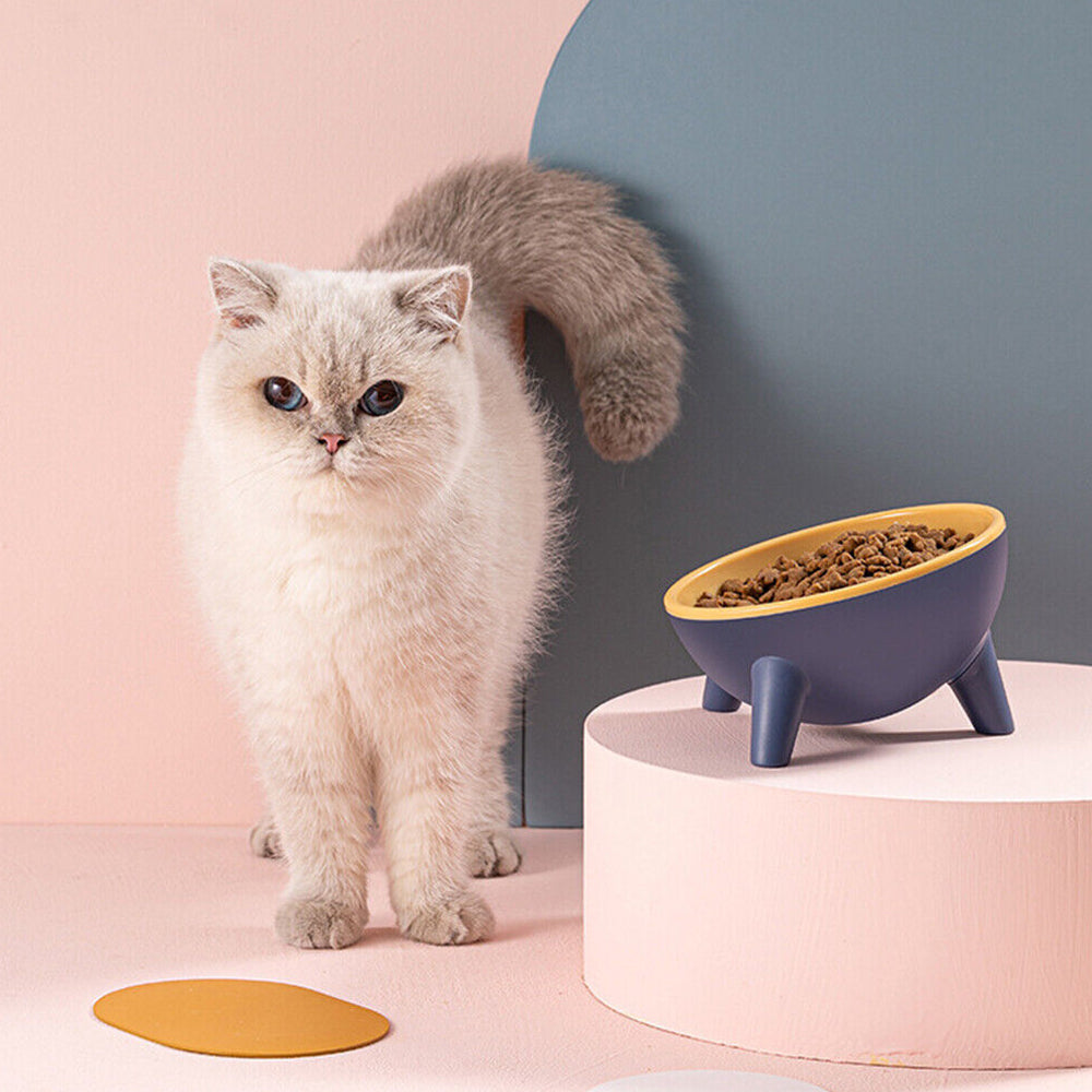 Feeder Raised Cat Bowl Pet Bowl Elevated Dog Bowls 15°Tilted Pet Water Bowl