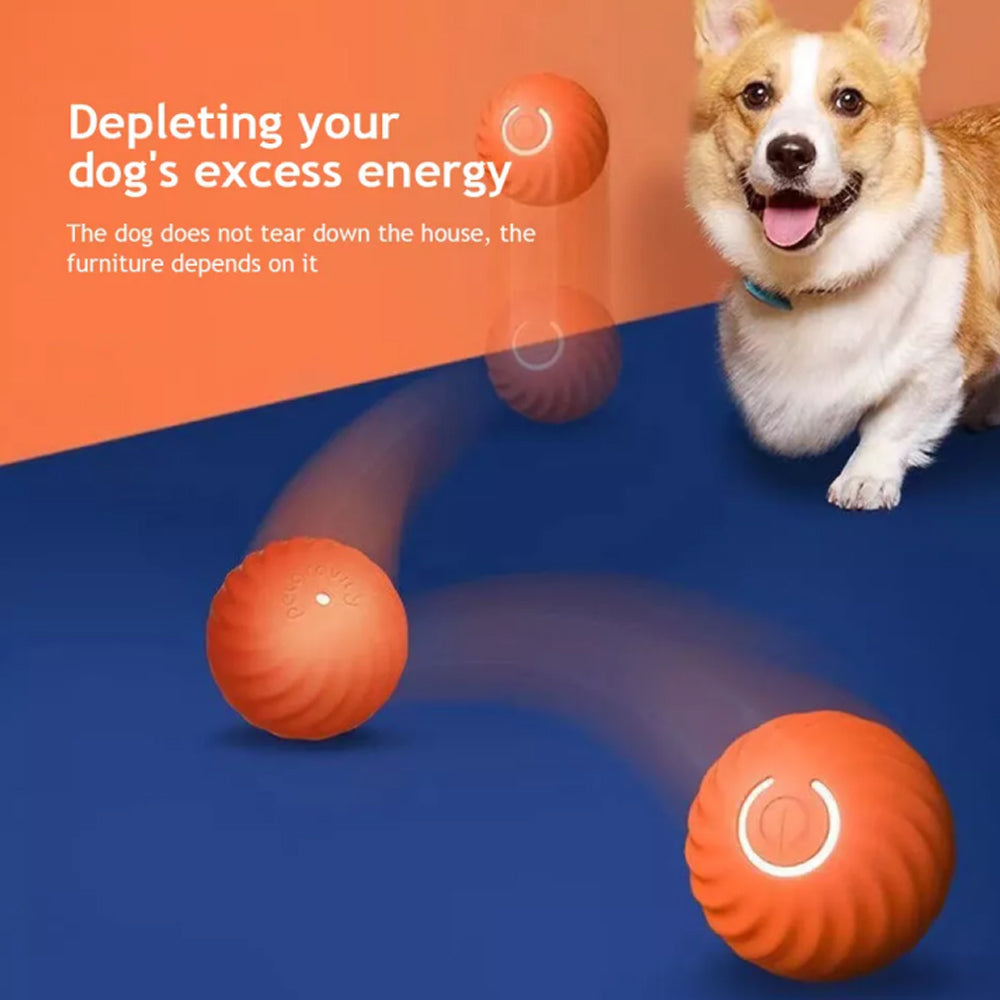 Electric Interactive Dog Toys Automatic Jumping Ball for Pet Dog Training Toy Fetch Ball