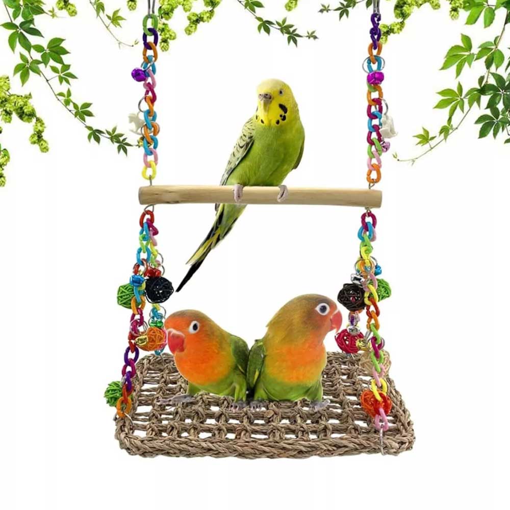 Parrot Hammock Swing Toy with Colourful Chain Double Swing for Bird Cage Play