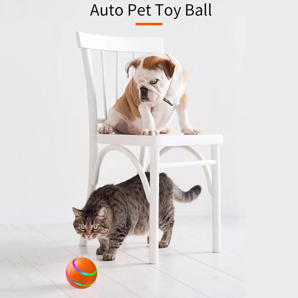 Pet Dog Interactive Play LED Toy Ball Indoor Outdoor Puppy Training Moving Roll