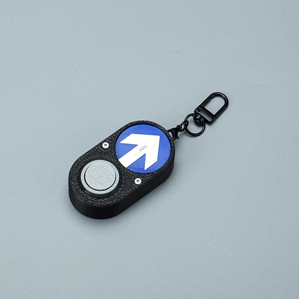 Iconic Accessible Pedestrian Signal (APS) Replicas keychain