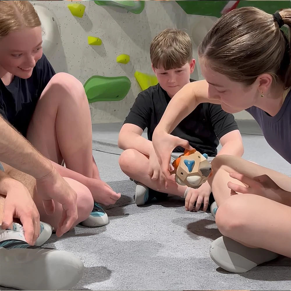 Portable 3D Wooden Boulder Climbing Ball – Handcrafted Finger Strength Trainer with Adjustable Holds