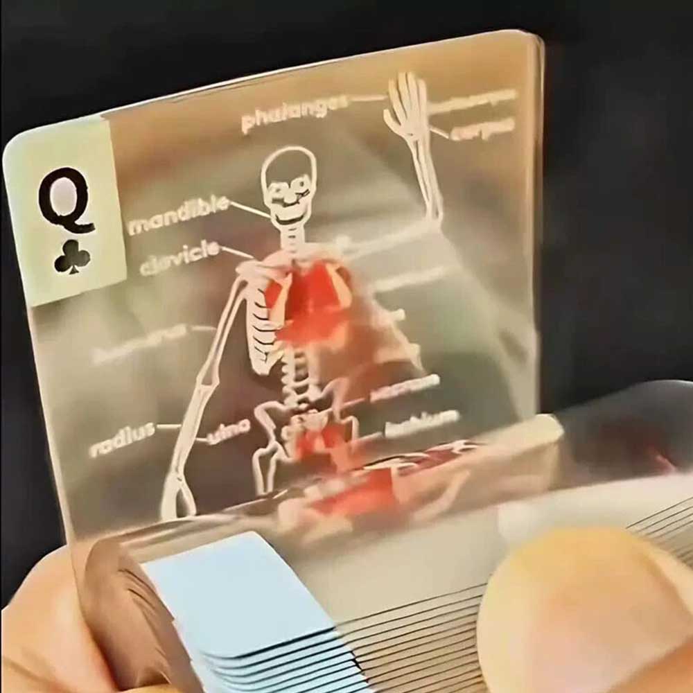 The Body Deck Human Anatomy - It's What's Inside That Counts Cards, 3D Image