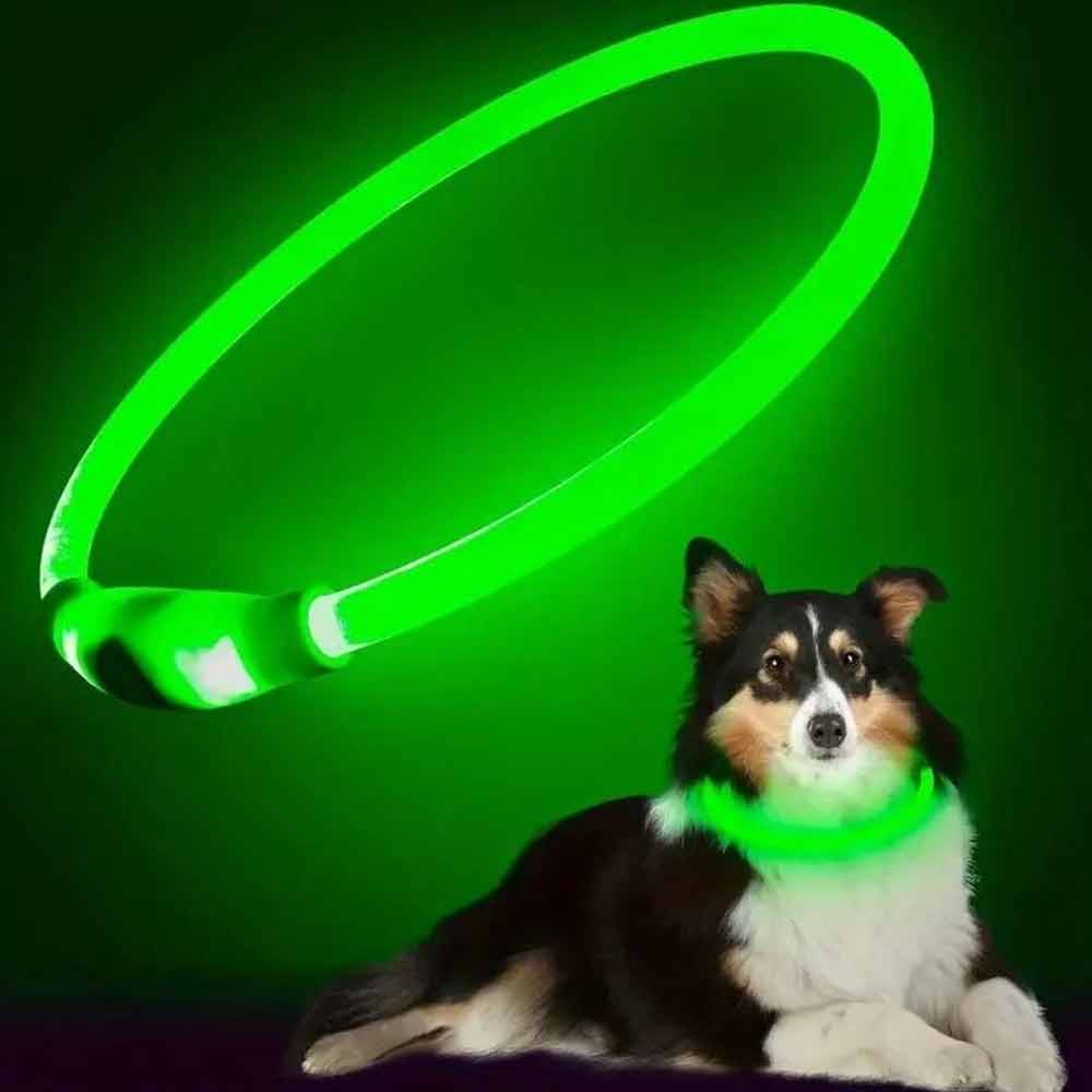 Light Up Dog Collar – USB Rechargeable Pet Flashing Safety LED, Size Adjustable
