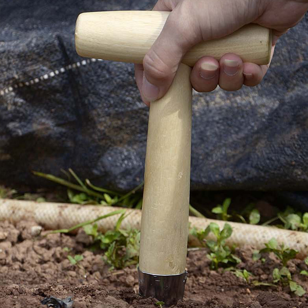 Garden Dibber - T-Handle Carbon Steel Tool for Seed & Bulb Planting