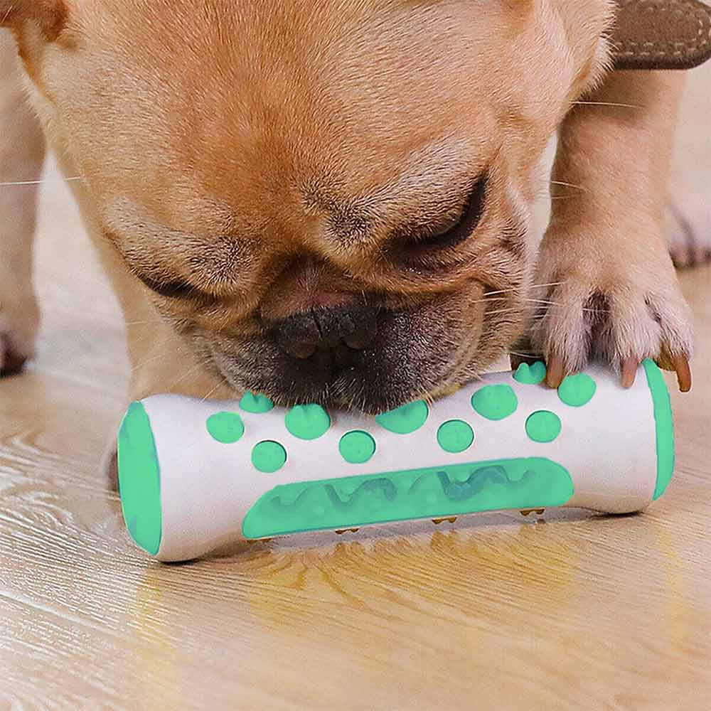 Teeth Cleaning Dog Chew Toy Tough Dog Puppy Toothbrush Rubber Chewers Toy Bone