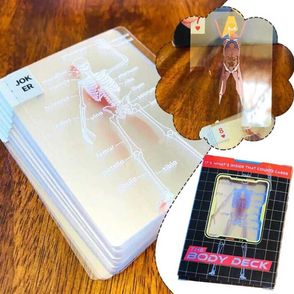 The Body Deck Human Anatomy - It's What's Inside That Counts Cards, 3D Image