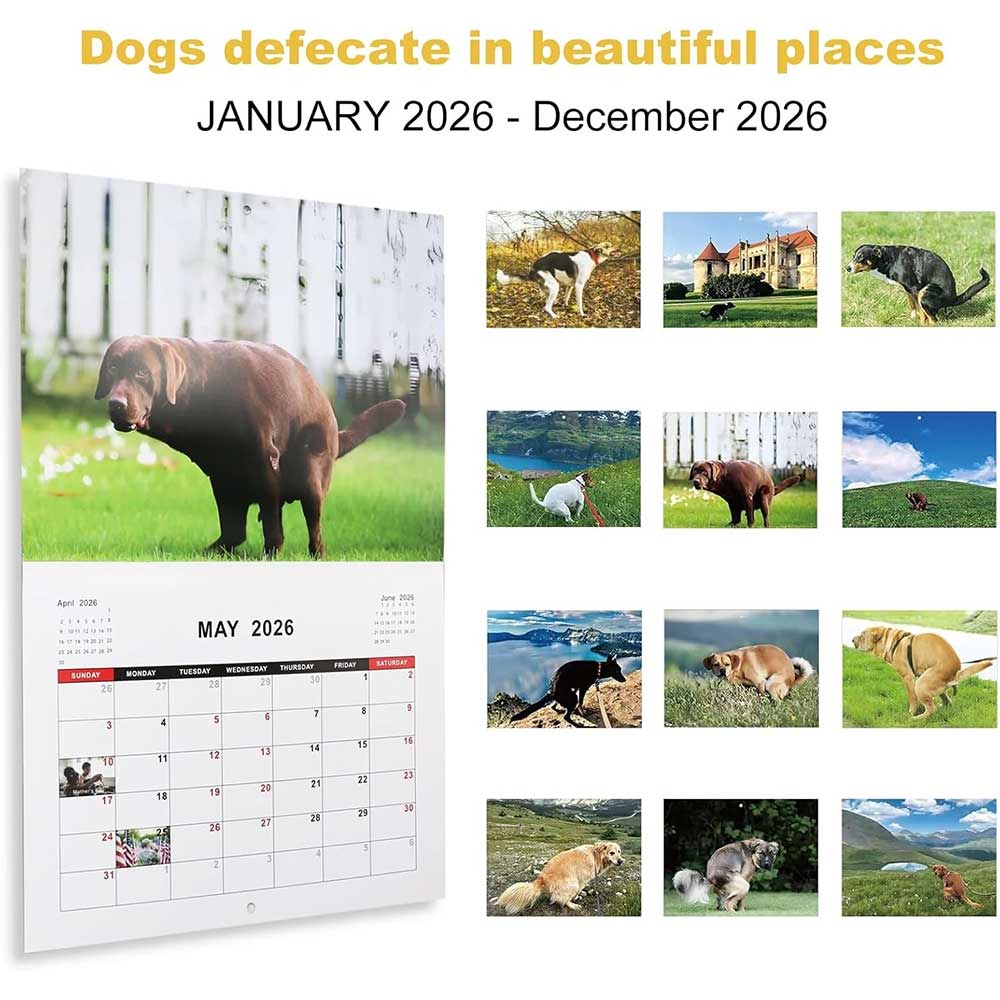2026 Dog Pooping Calendar - Funny Dogs in Beautiful Places Wall Calendar