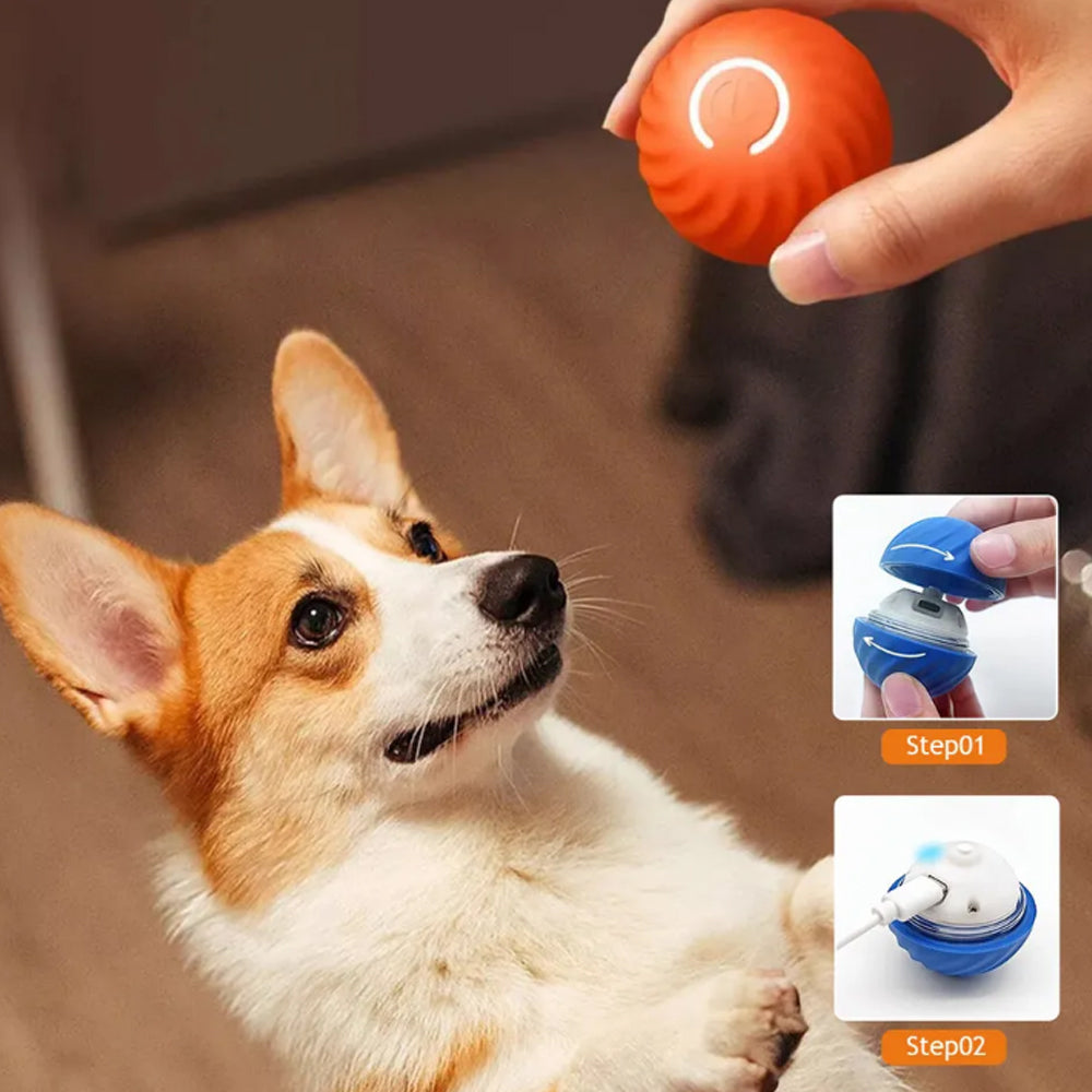 Electric Interactive Dog Toys Automatic Jumping Ball for Pet Dog Training Toy Fetch Ball