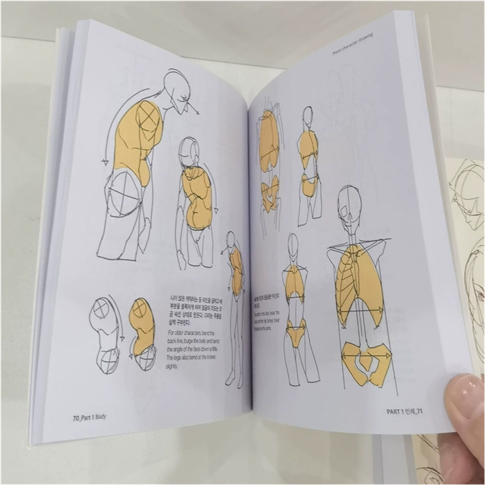 TACO Point Character & Human Body Drawing Guide Book | Lezhin Comics Artist |Ultimate Illustration Guide