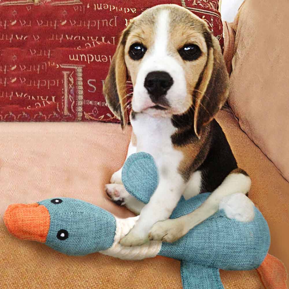 Crinkle Rope Plush Puppy Pet Chew Toy Rope Squeaker Squeaky Teething Dog Toys