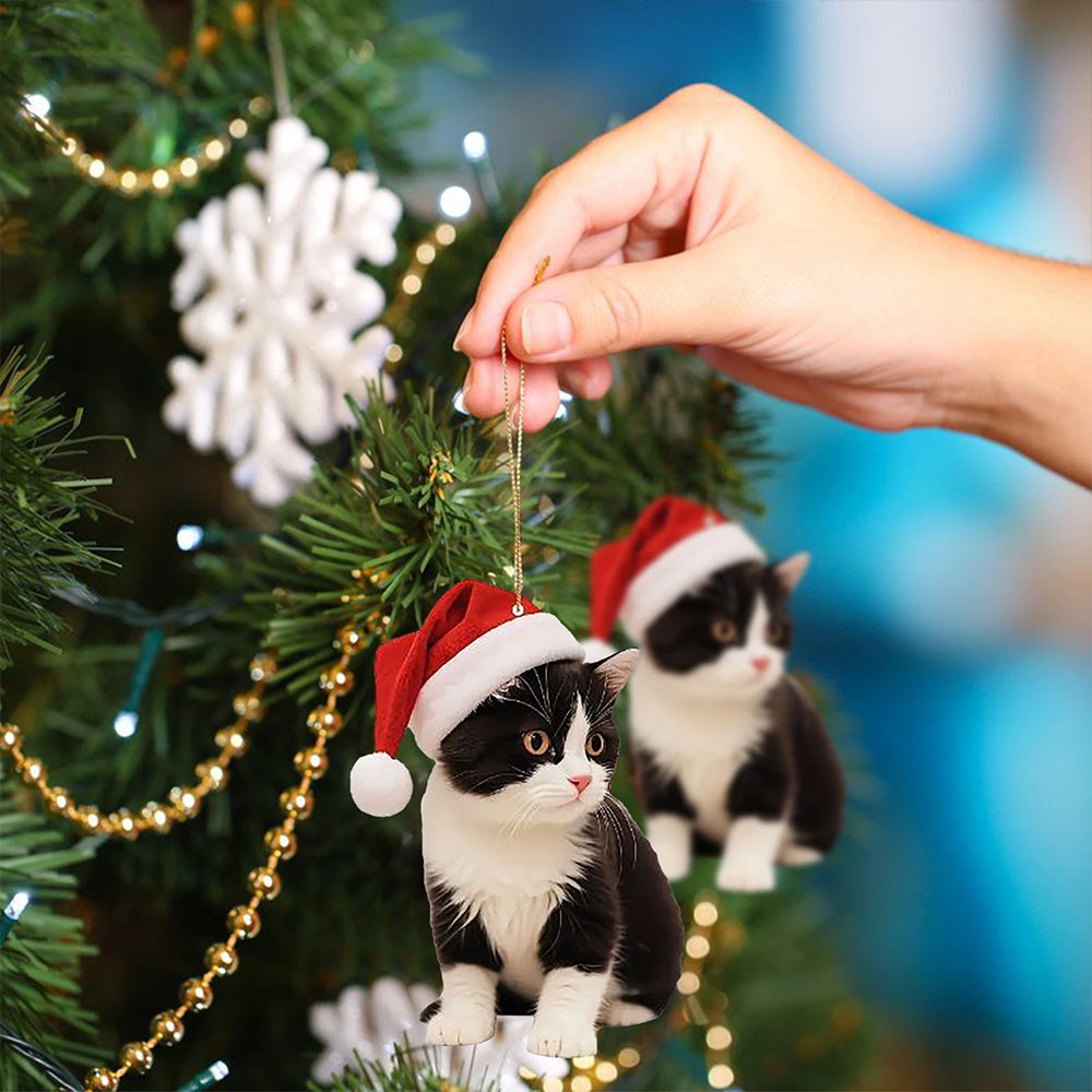 5Pcs Cute Cat Christmas Ornaments, 2D Acrylic Hanging Decor for Cat Lovers Tree