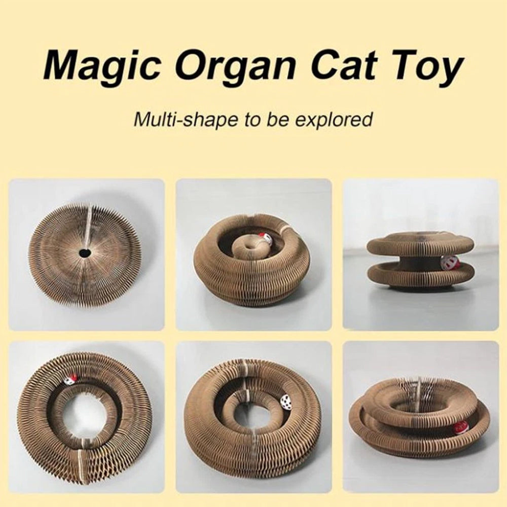 Transformable Cat Toy - Accordion Scratch Pad & Wear-Resistant Ball
