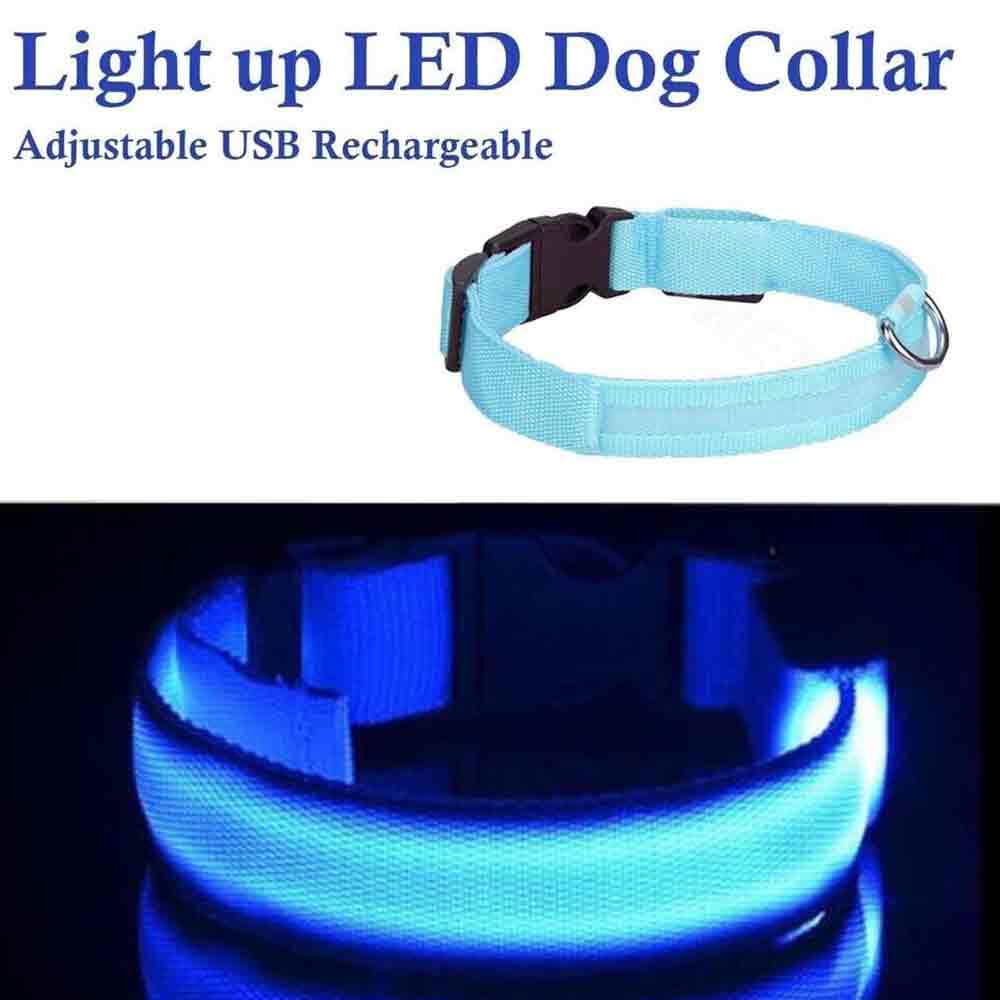 Light Up LED Dog Collar – Adjustable USB Rechargeable Pet Safety Luminous Collar M