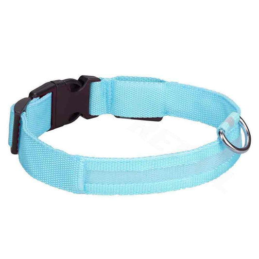 Light Up LED Dog Collar – Adjustable USB Rechargeable Pet Safety Luminous Collar M