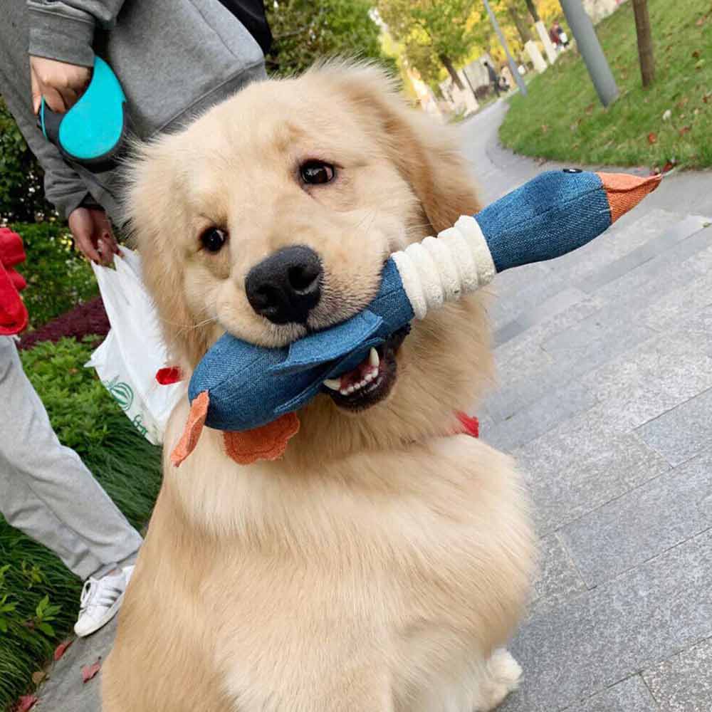 Crinkle Rope Plush Puppy Pet Chew Toy Rope Squeaker Squeaky Teething Dog Toys