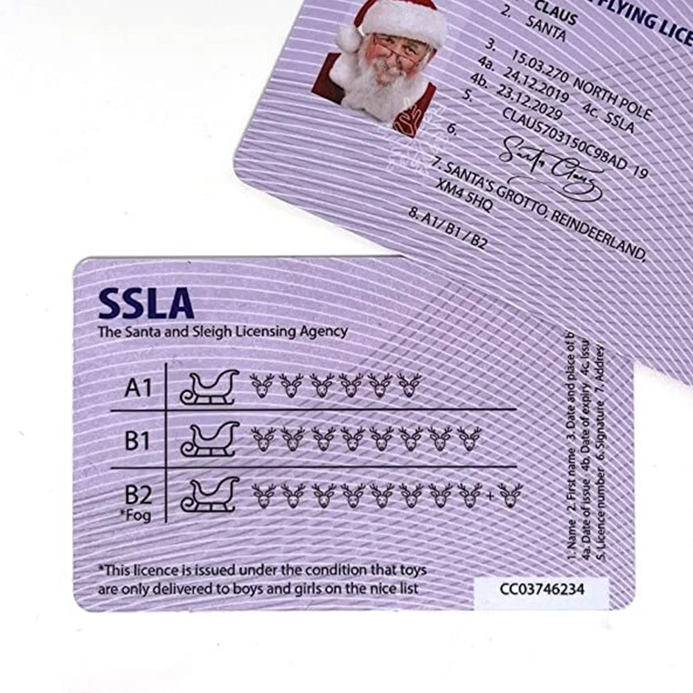 10Pcs Novelty Santa Claus International Driver's License - Fun Christmas Gift