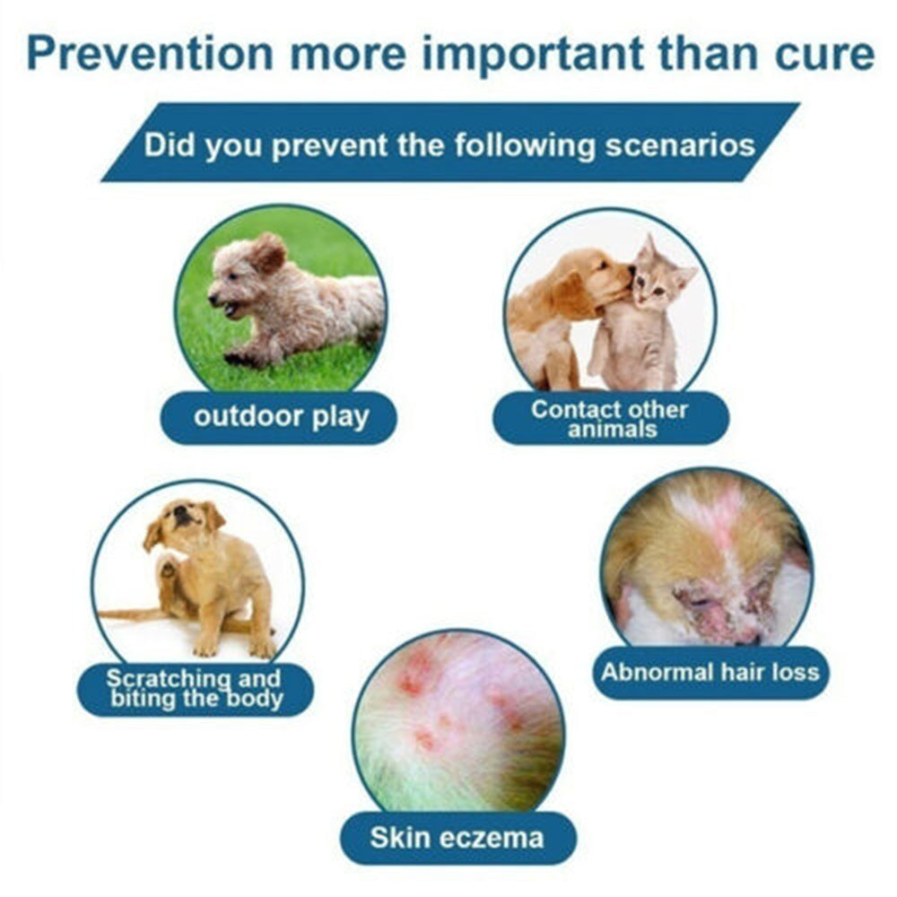 Bayer-Seresto Flea and Tick Collar 7-8Month Protection for Cats Small Large Dogs