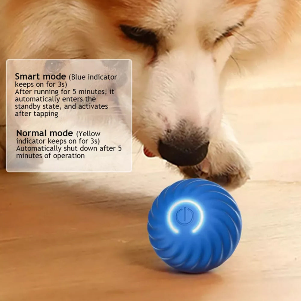 Electric Interactive Dog Toys Automatic Jumping Ball for Pet Dog Training Toy Fetch Ball