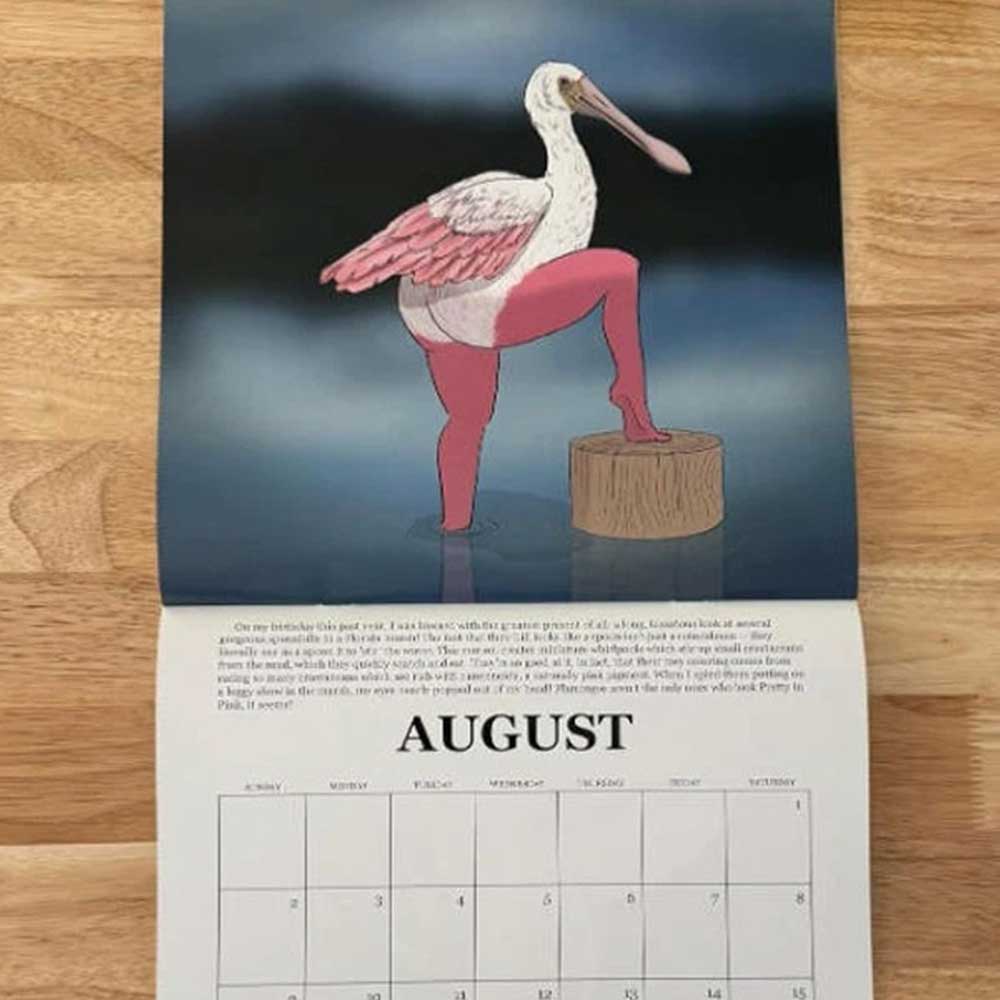 2026 Calendar of Extremely Accurate Birds - Illustrated Gift Wall Calendar