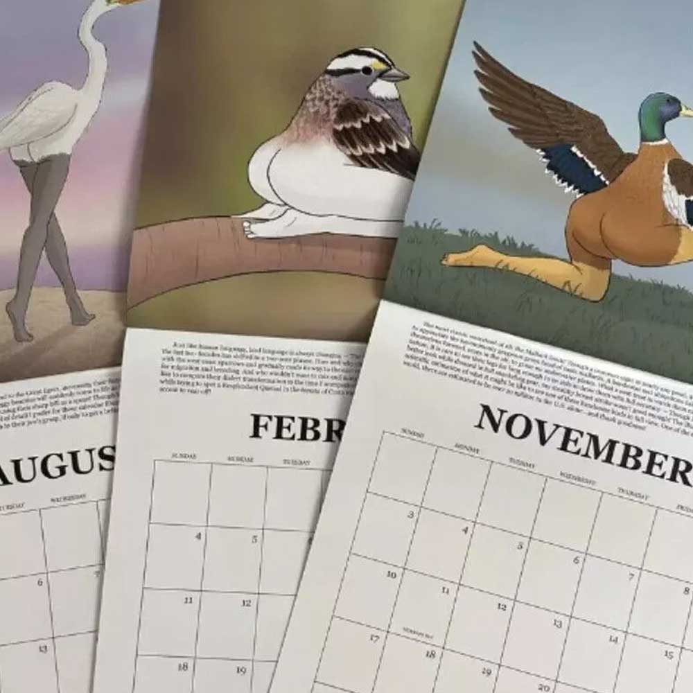 2025 Bird Calendar 2025 CALENDAR OF EXTREMELY ACCURATE BIRDS Wall Calendar Decor