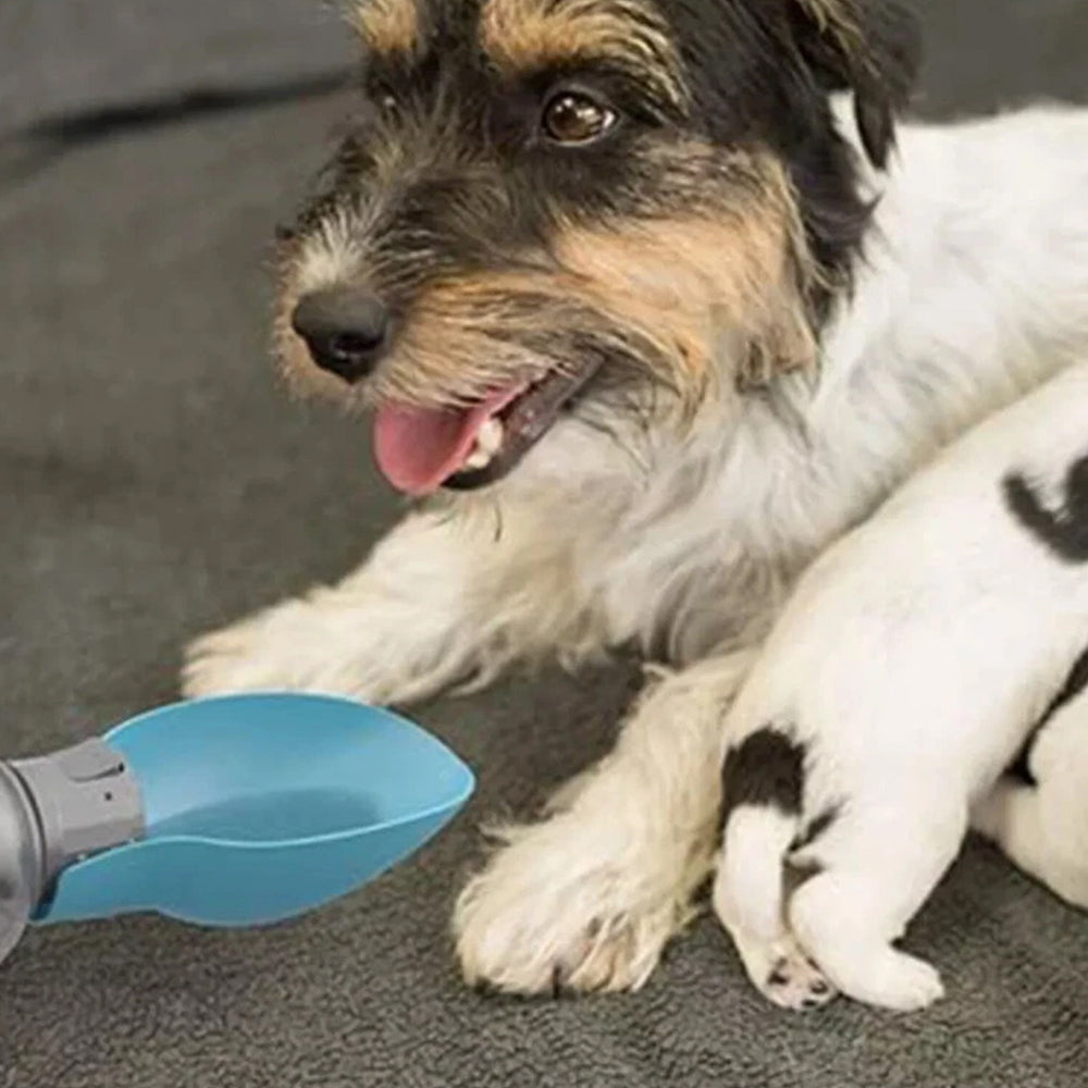 Portable Dog Water Bottle – Pet Outdoor Travel Hiking Walking Drinking Cup, 800ml