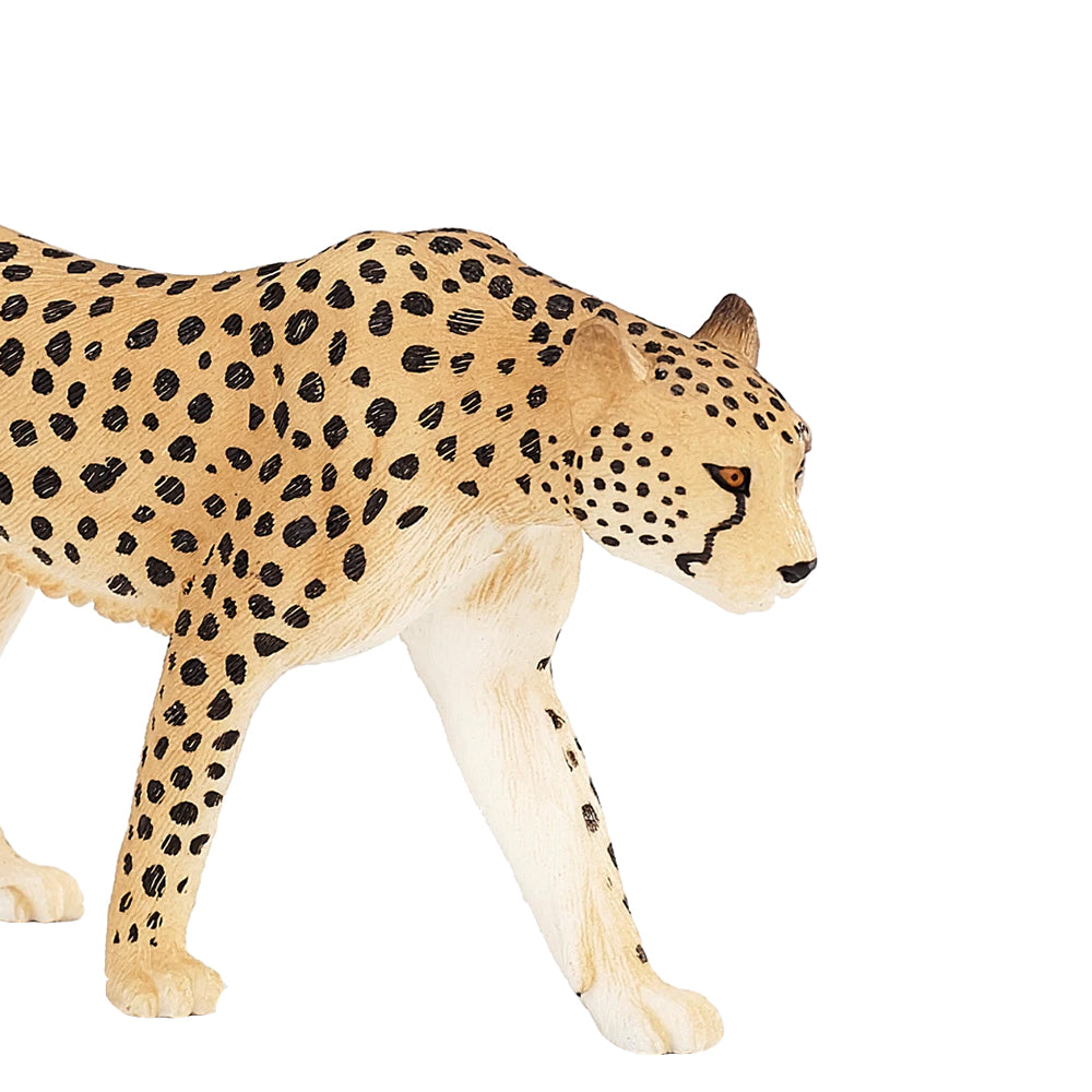 Wild Zoo Animal Figures - PVC Forest Jungle Toy Set, Realistic Plastic Models