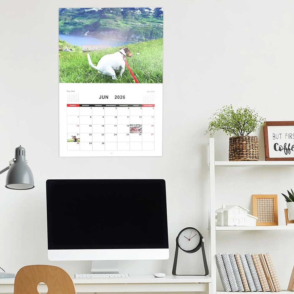 2026 Dog Pooping Calendar - Funny Dogs in Beautiful Places Wall Calendar