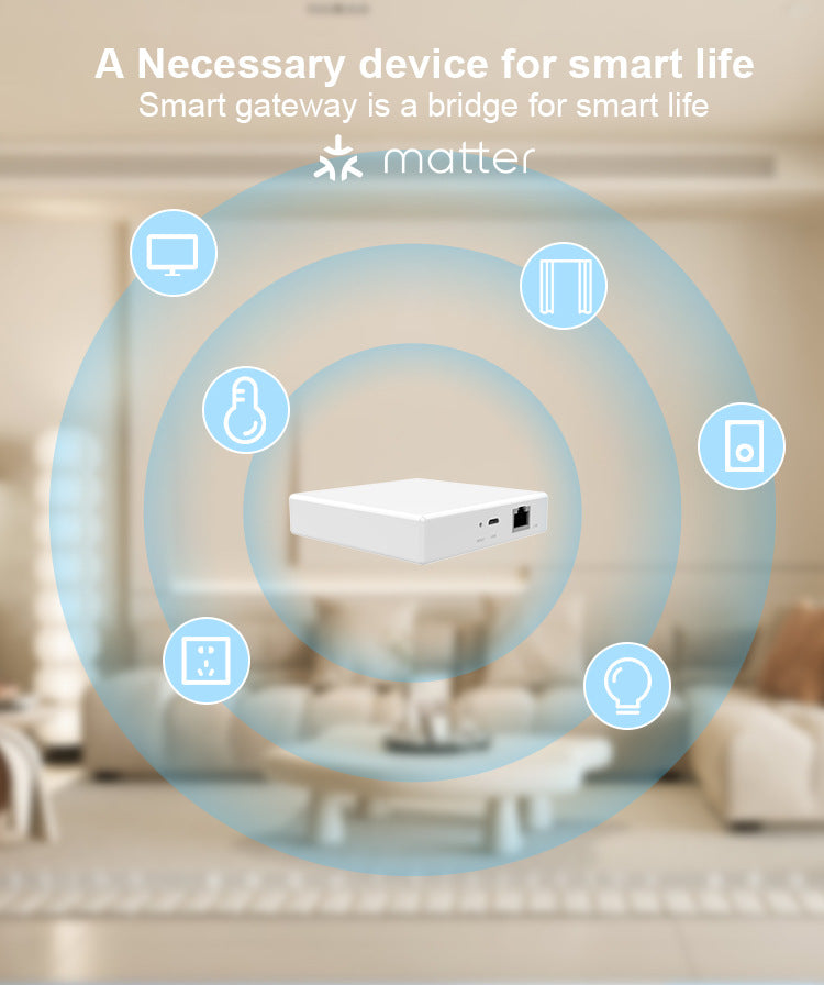 Matter Smart Home Hub – Wired Multi-Mode Gateway for Zigbee & IoT