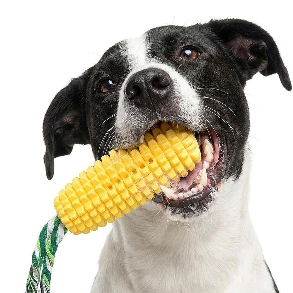 Indestructible Dog Chew Toy – Tough TPR Squeaky Toy for Aggressive Chewers