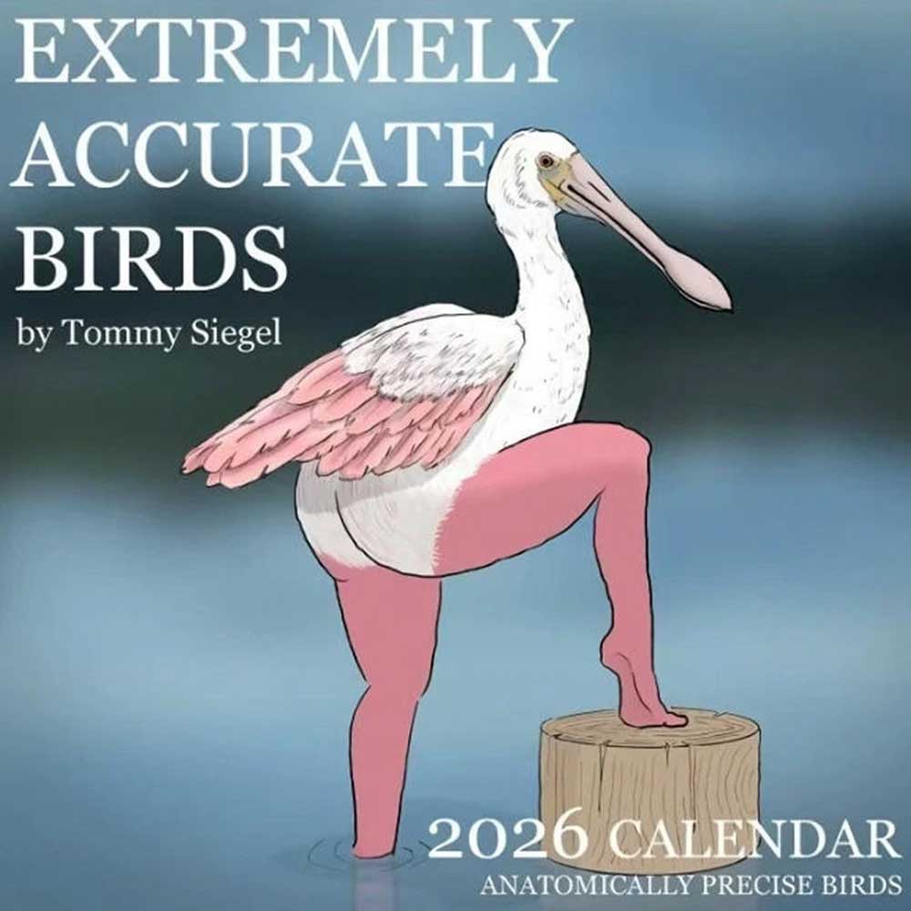 2026 Calendar of Extremely Accurate Birds - Illustrated Gift Wall Calendar
