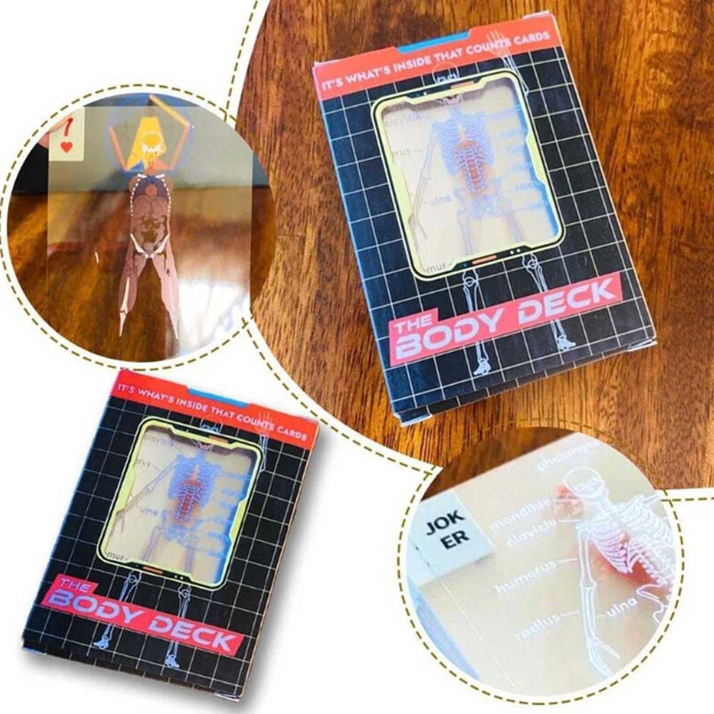 The Body Deck Human Anatomy - It's What's Inside That Counts Cards, 3D Image