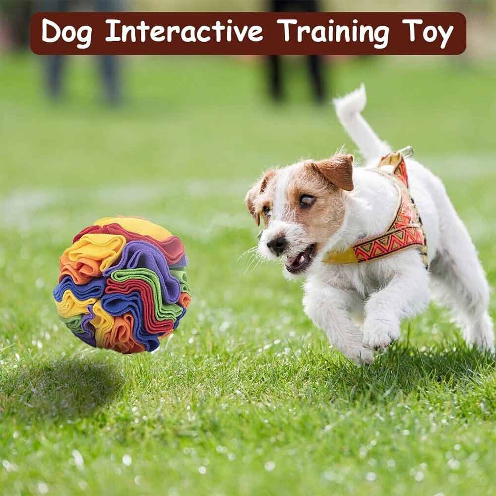 Pet Snuffle Ball Dog Toy Home Foraging Skill IQ Training Enrichment Multicolor