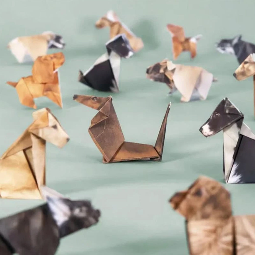 DIY Origami Paper Animals - 50 Sheets Pre-Printed Cat, Dog Craft Paper for 3D Figures