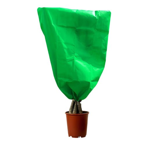 Frost Freeze Protection Bag for Garden Plants Covers Shrub Bag Reusable Green