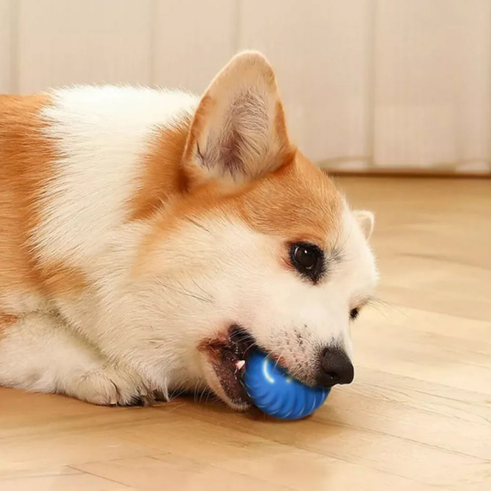 Electric Interactive Dog Toys Automatic Jumping Ball for Pet Dog Training Toy Fetch Ball
