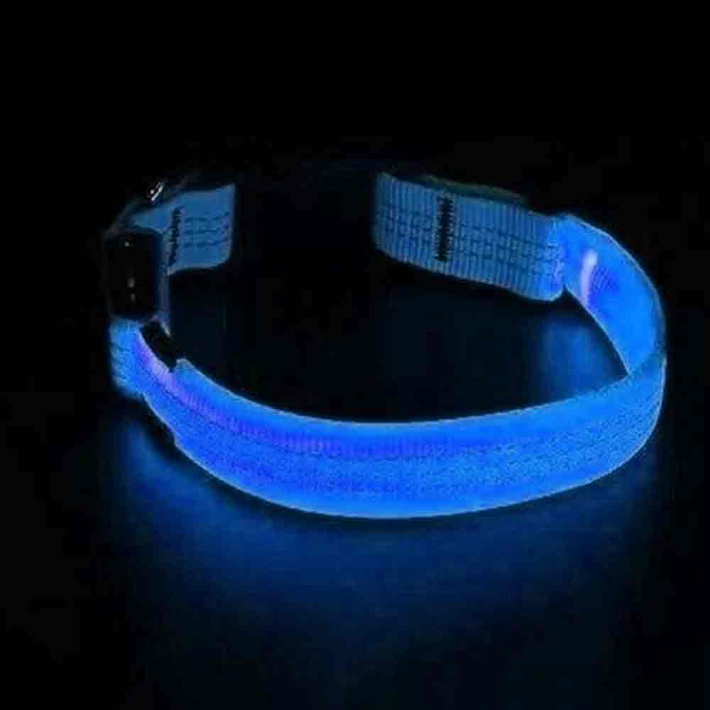 Light Up LED Dog Collar – Adjustable USB Rechargeable Pet Safety Luminous Collar M