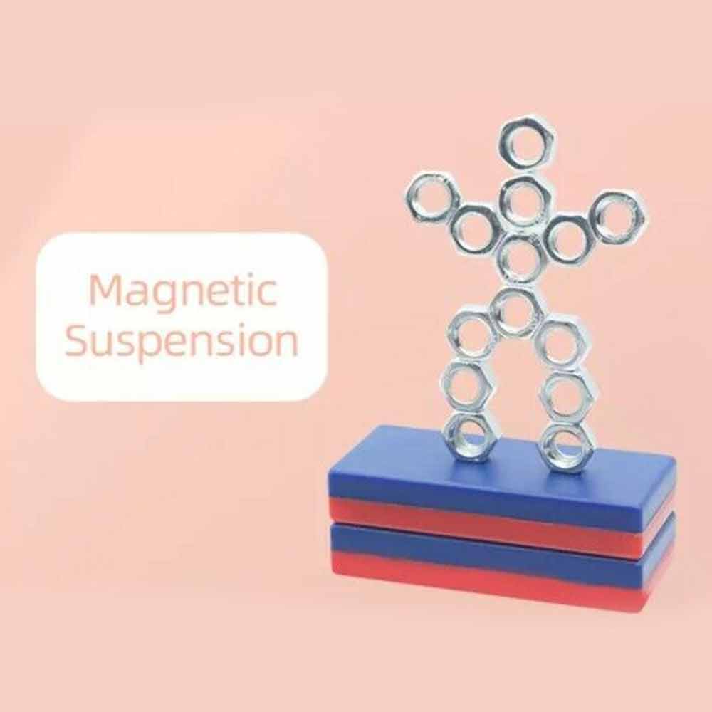 12 in 1 Magnet Science Kit, Experiment Fun Game Educational STEM kit for Kids