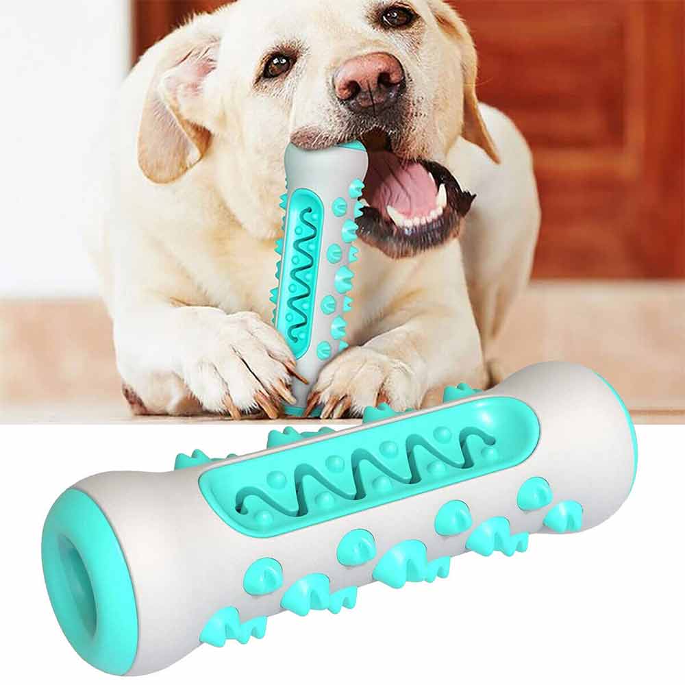 Teeth Cleaning Dog Chew Toy Tough Dog Puppy Toothbrush Rubber Chewers Toy Bone