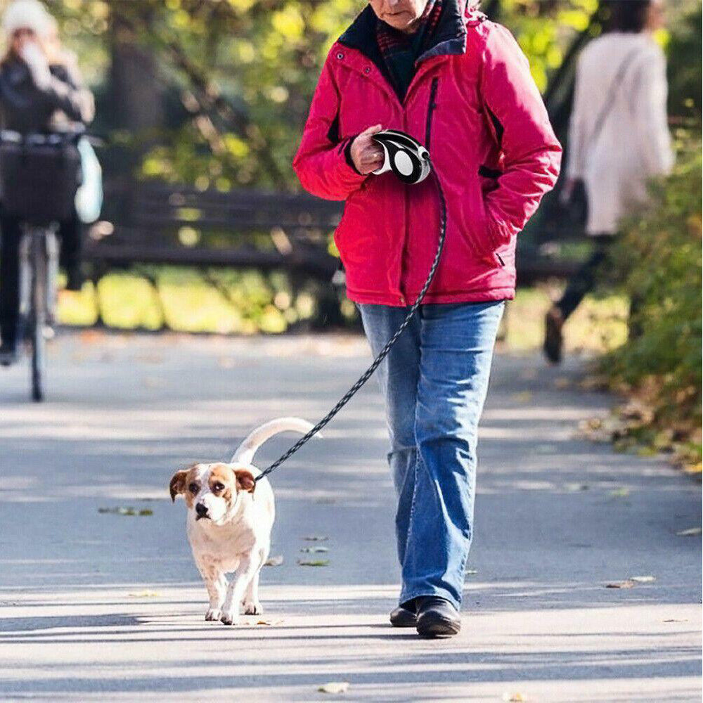 3m/5m Retractable Dog Leash Automatic Flexible Dogs Cat Pets Traction Rope Leash