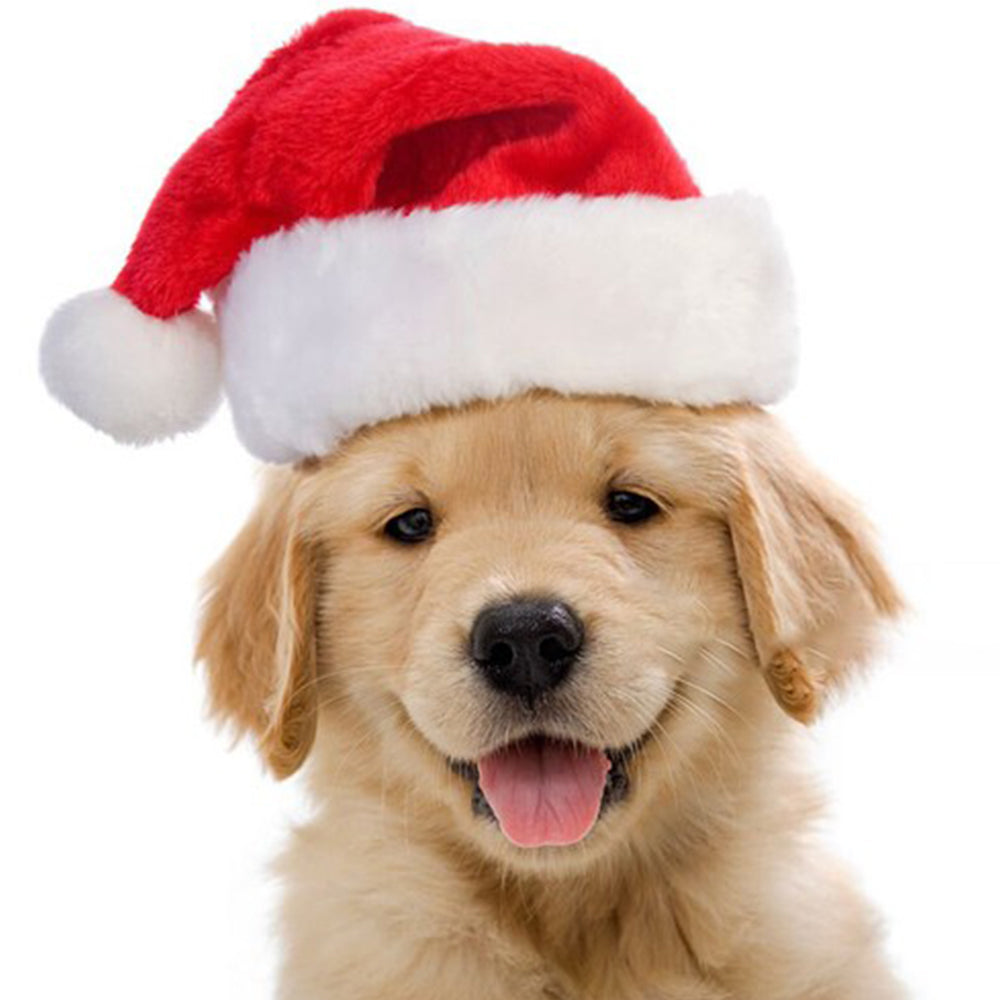 Christmas Santa Dog Hat Set – 2PCS Lightweight Pet Costume Caps