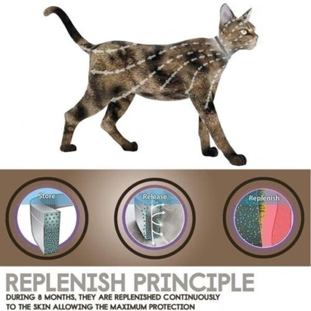 Bayer-Seresto Flea and Tick Collar 7-8Month Protection for Cats Small Large Dogs