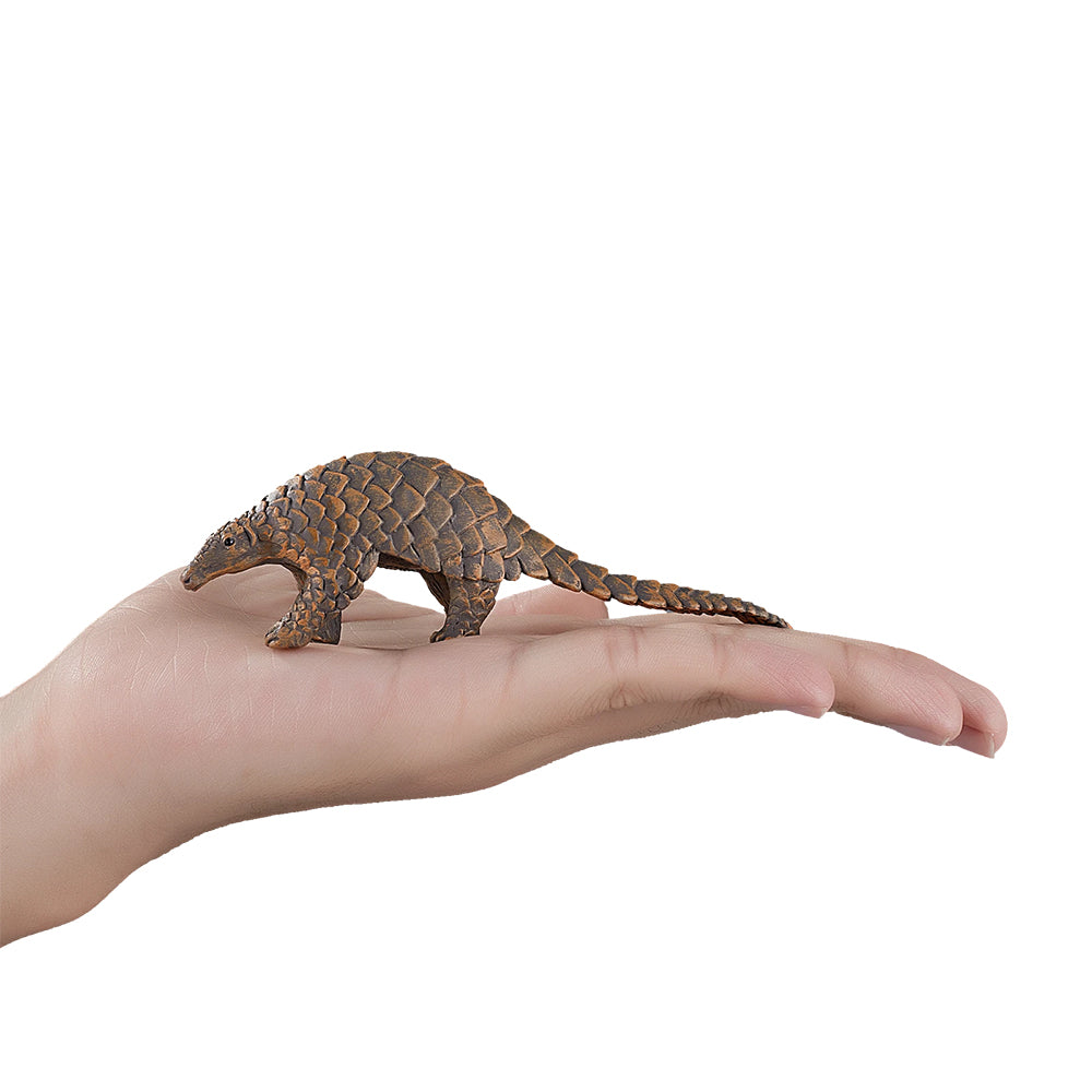 Indian Pangolin Figure - Realistic Wild Zoo Animal Toy, Plastic Jungle Model
