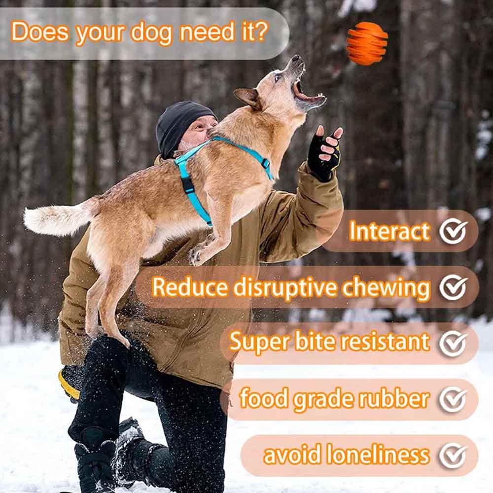 Indestructible Dog Chew Toy – Treat Dispenser & Interactive Pet Toy, Orange, 10cm